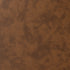 Kadar Leather Barrel Chair-Coffee Modern Leather Chair | Accent Chairs | Kinwell Furniture | Barrel Chairs